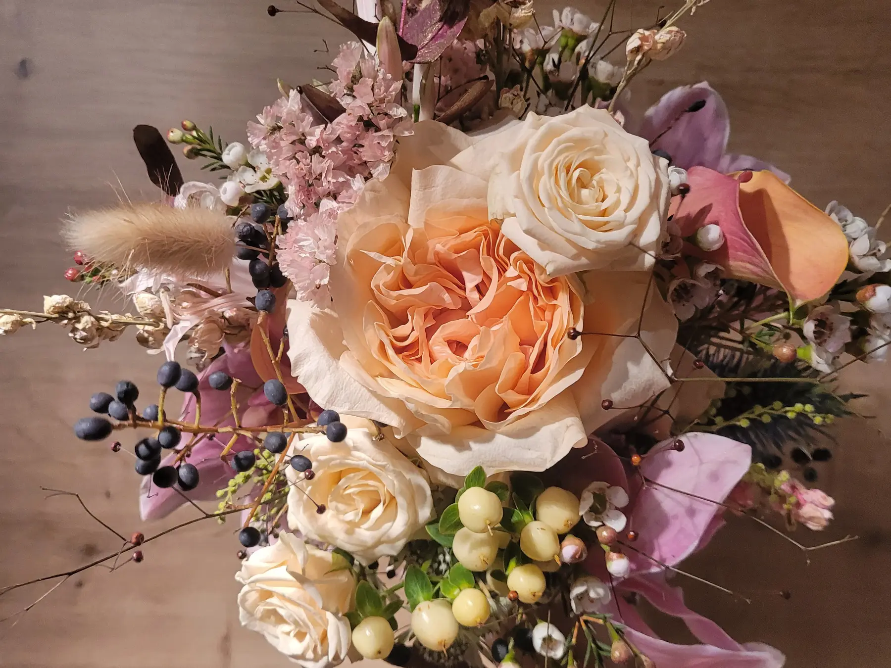 Fotos Website Slider Papilio