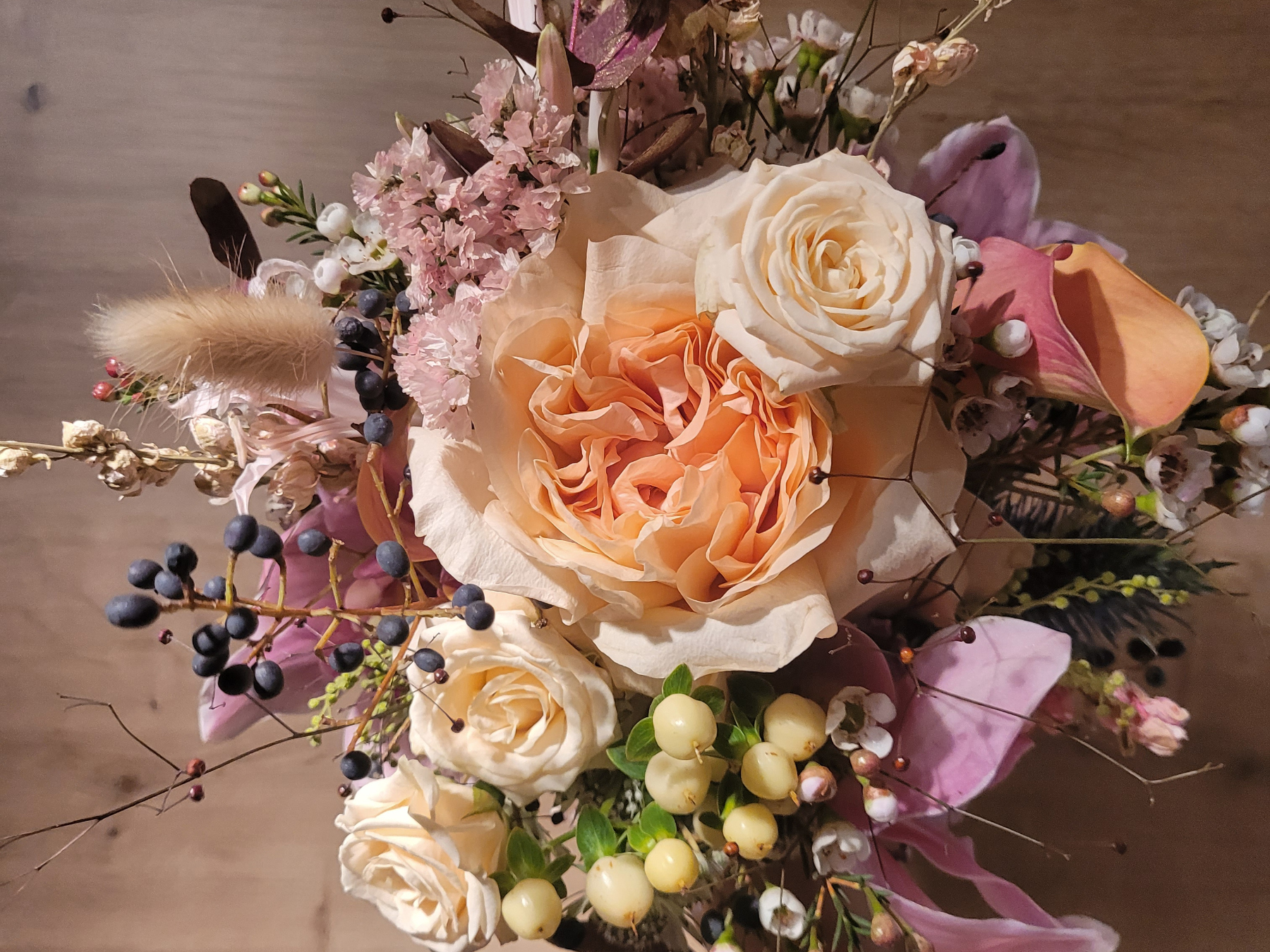 Fotos Website Slider Papilio