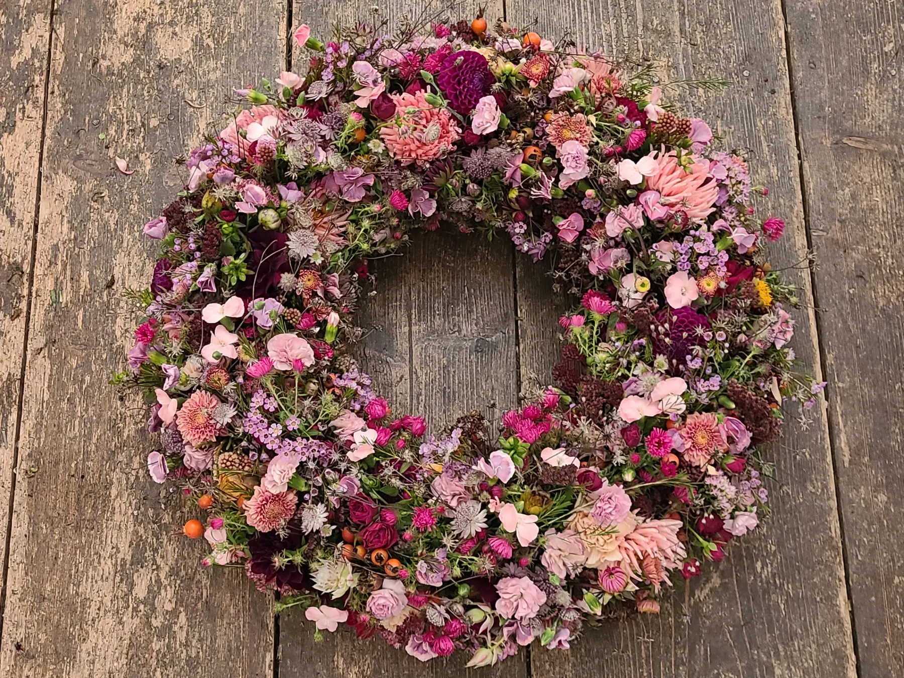 Fotos Website Slider Papilio