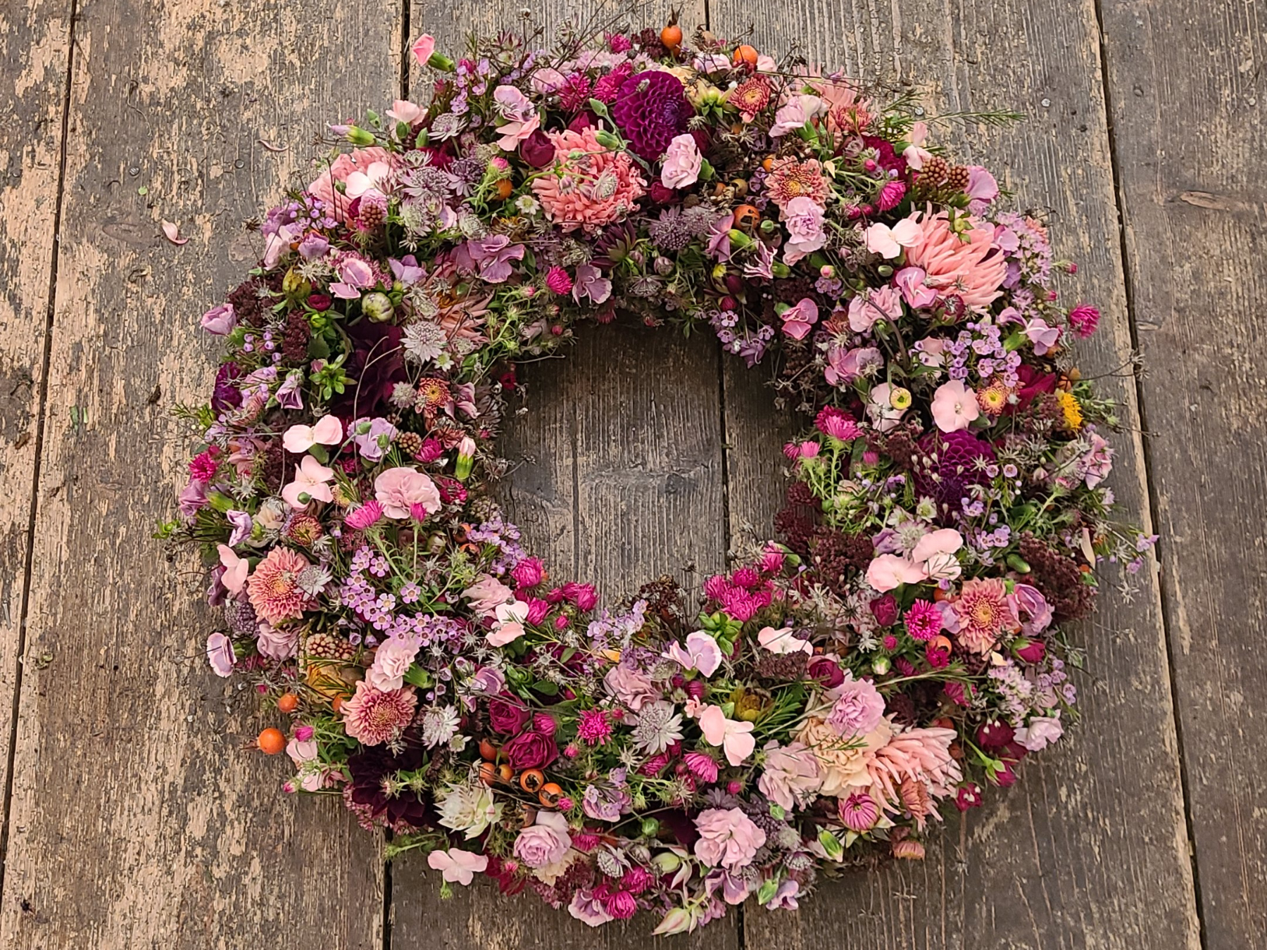 Fotos Website Slider Papilio