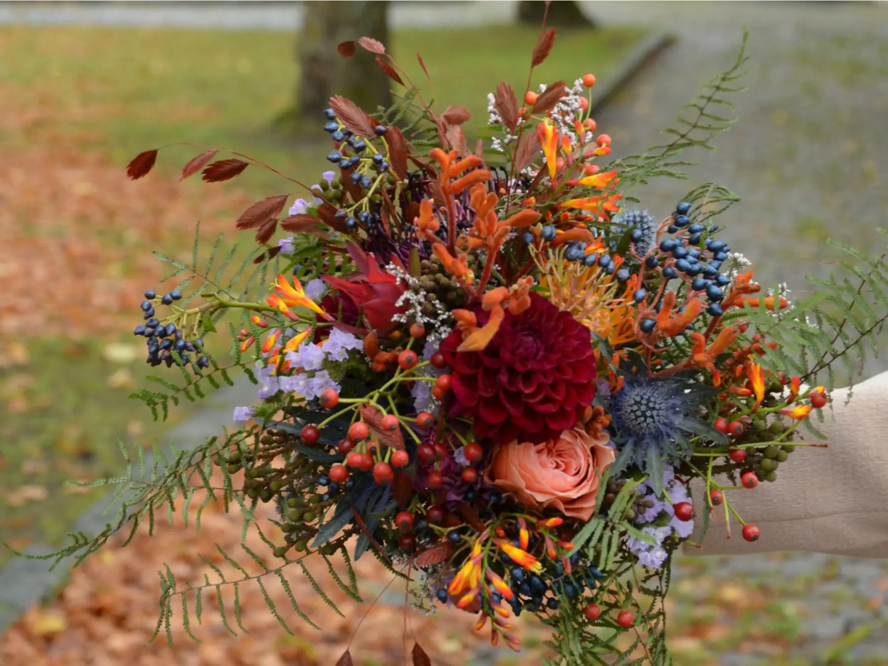 Fotos Website Slider Papilio