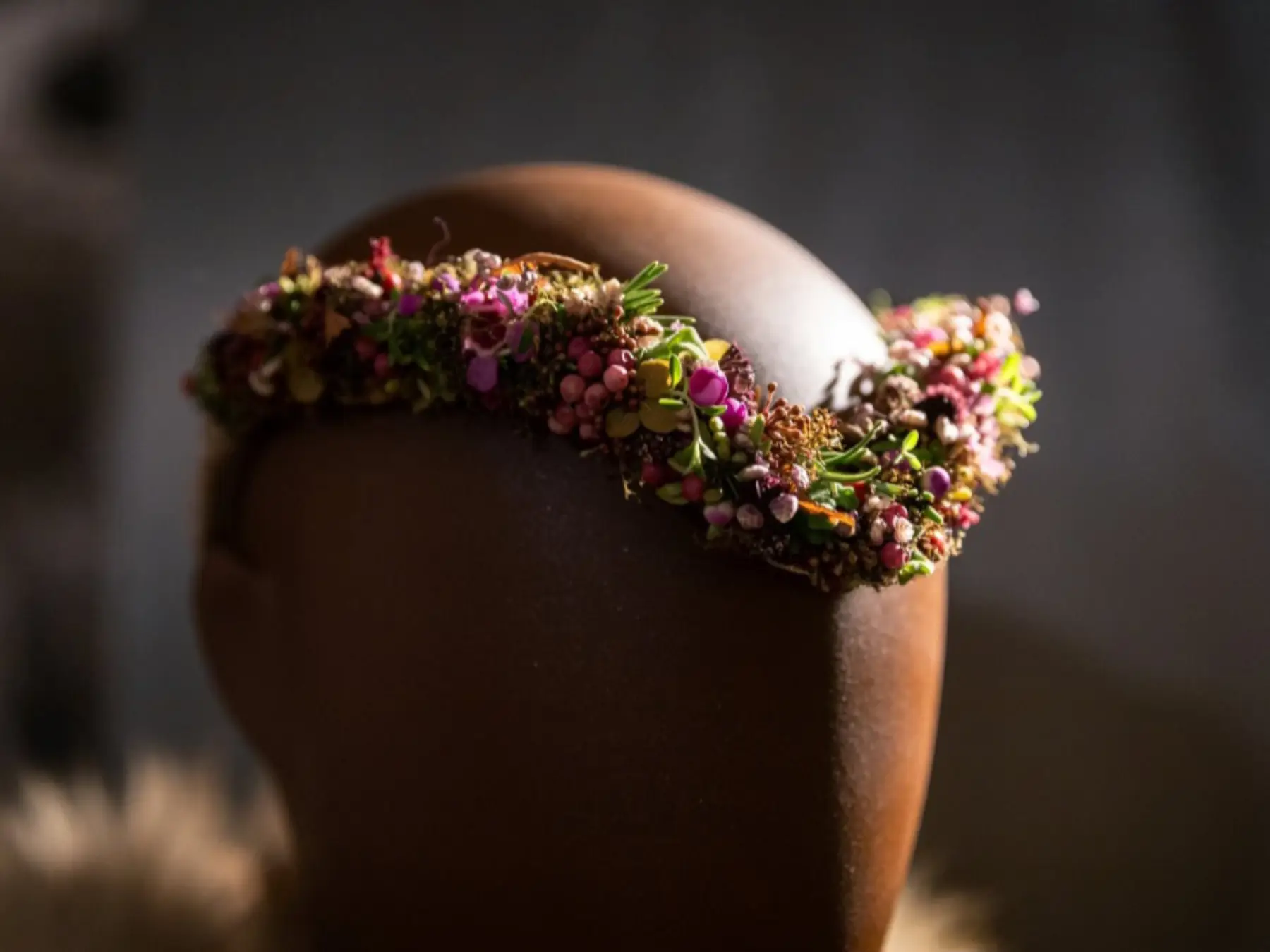 Fotos Website Slider Papilio