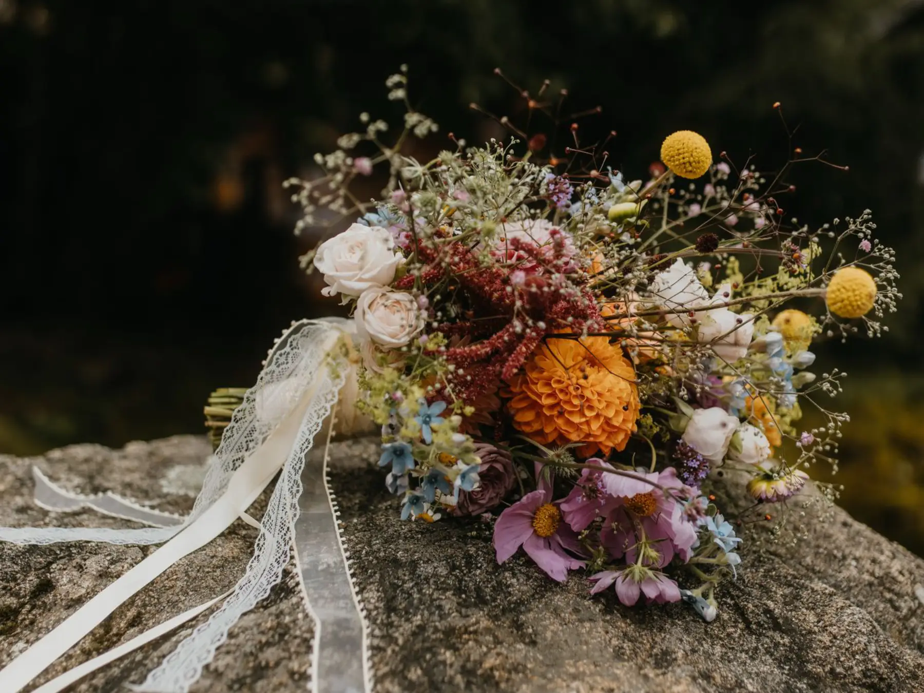 Fotos Website Slider Papilio